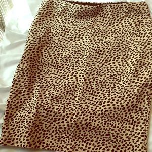 Ann Taylor Pencil Skirt
